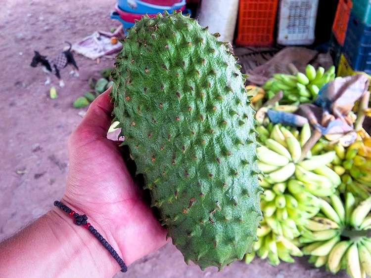 Graviola