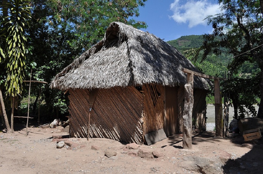 asha casita