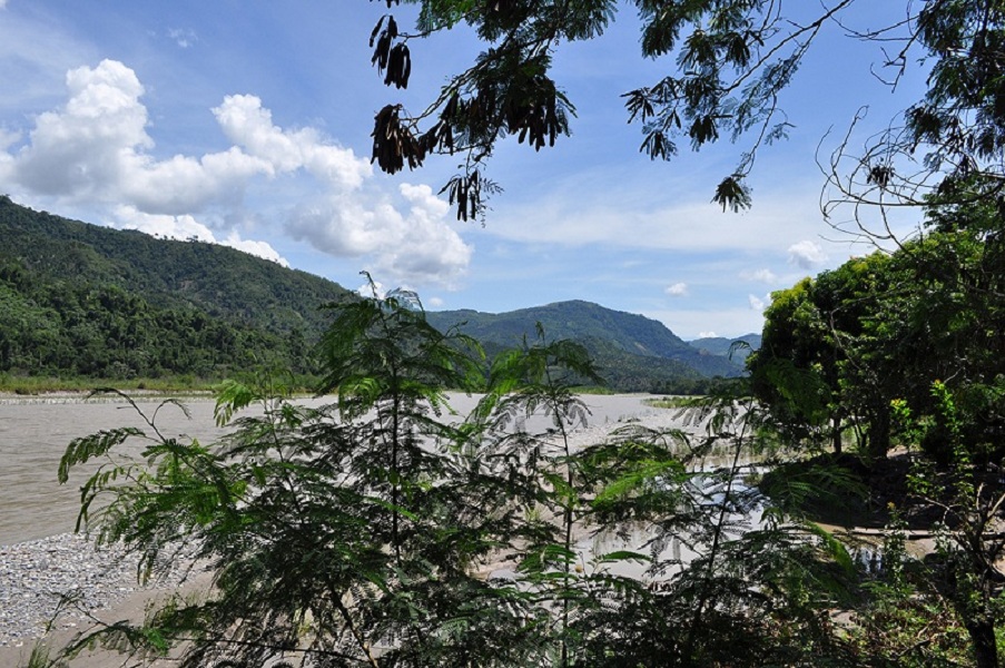 ucayali seco