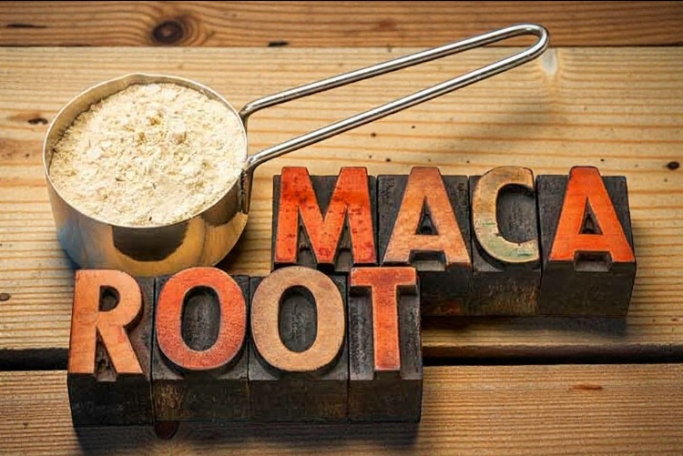 maca-root_1